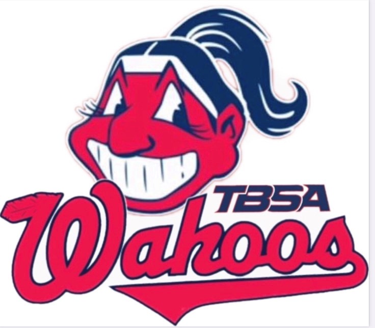 Softball Tryouts Registration Form